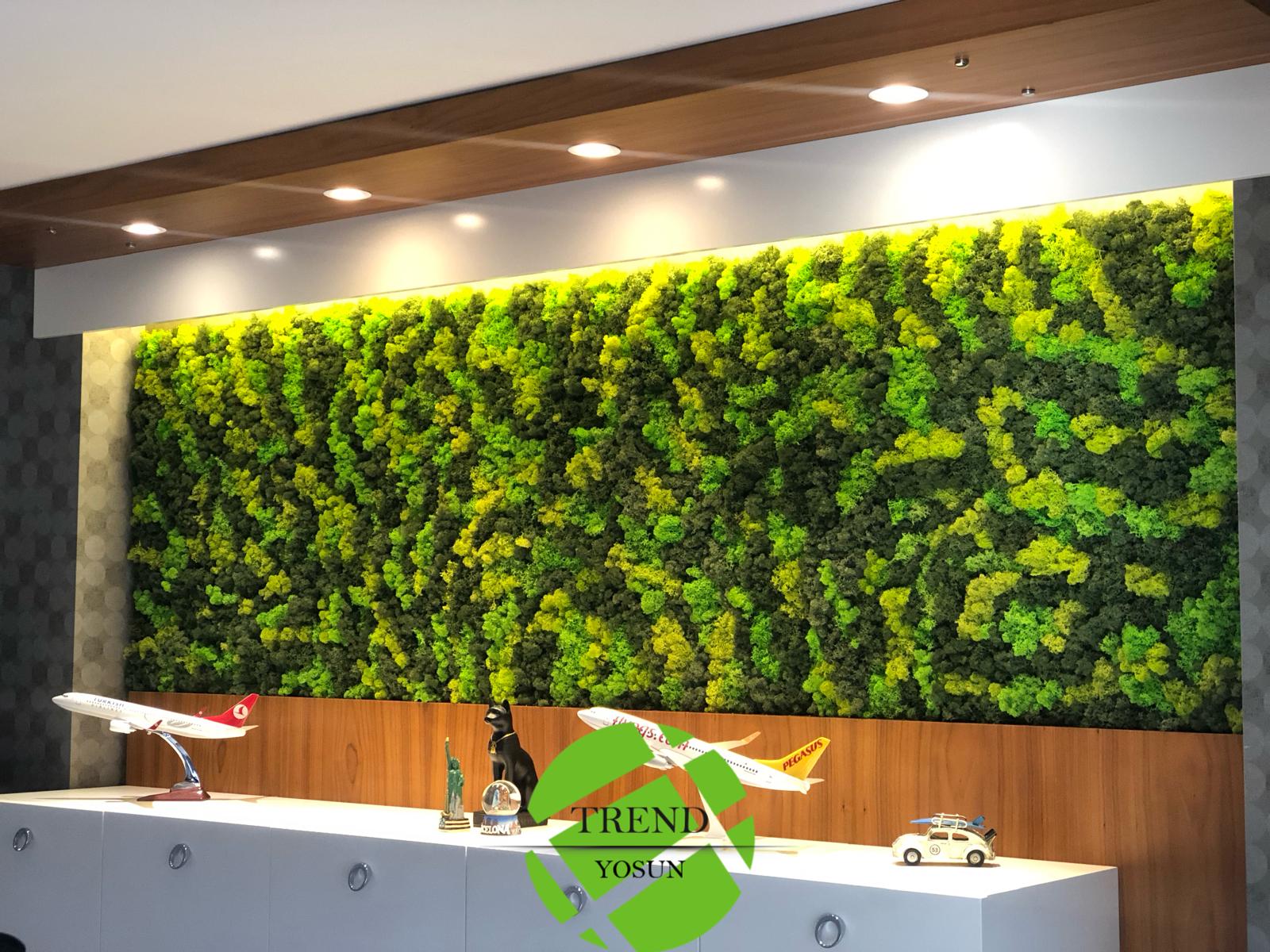 OFİS VE ÇALIŞMA ALANLARI İÇİN YOSUN UYGULAMALARI