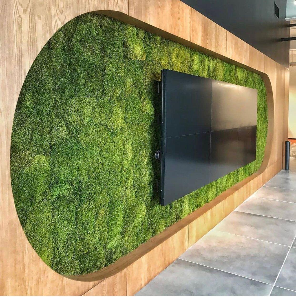 Düz yosun / Flatmoss Uygulamaları 