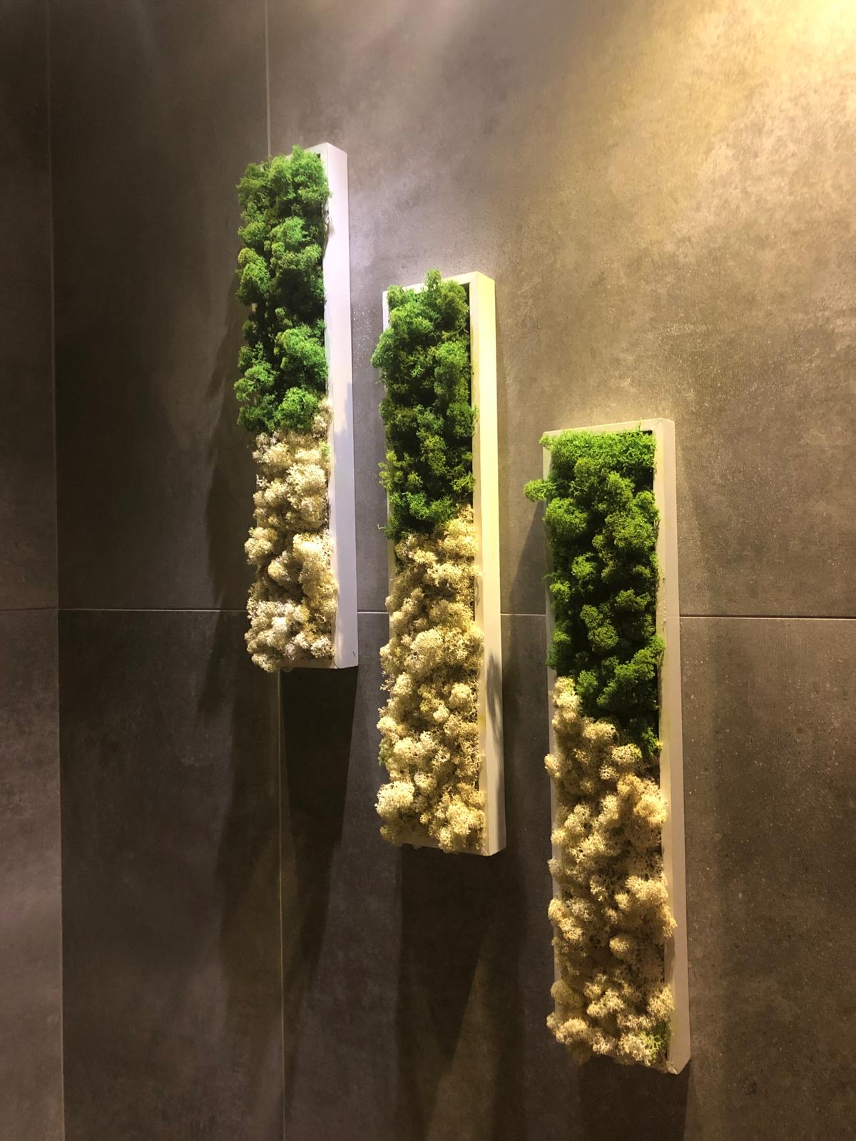 OTELLERDE YOSUN UYGULAMALARI