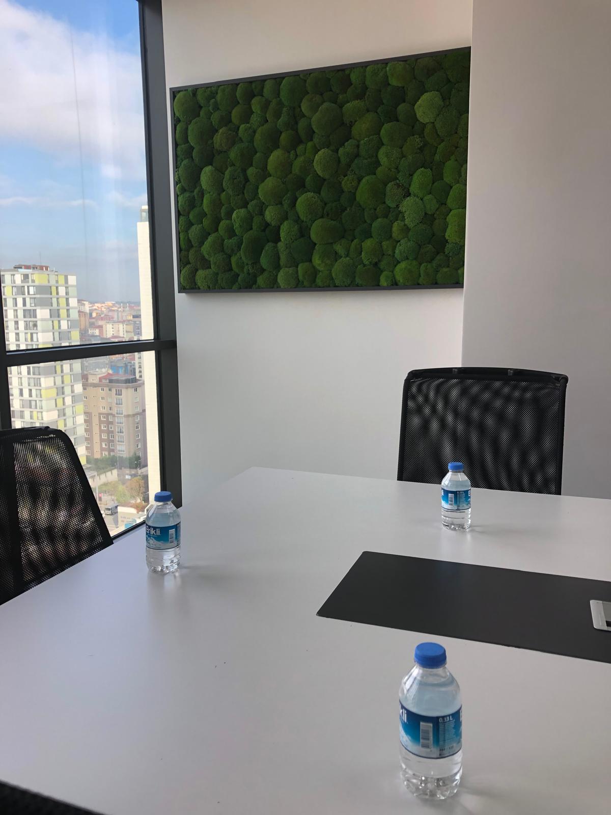 SES İZALASYONUNDA YOSUN UYGULAMALARI