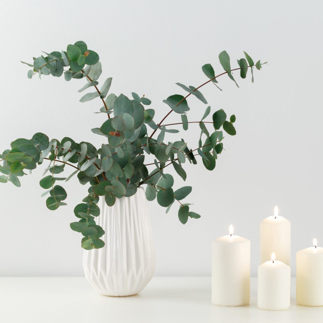 Eucalyptus Baby Blue