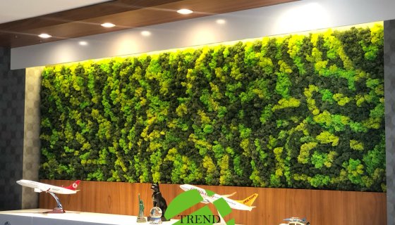 MEYER GROUP OFİS YOSUN UYGULAMASI