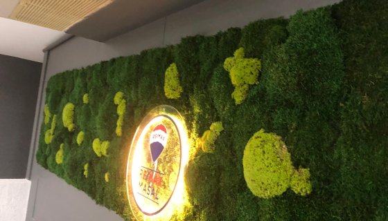 REMAX YOSUN DUVAR UYGULAMASI