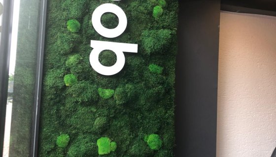 TİMOB MOBİLYA YOSUN DUVAR VİTRİN UYGULAMASI